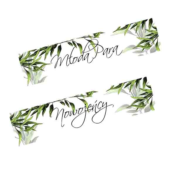 Tablice rejestracyjne na samochód - motyw liści