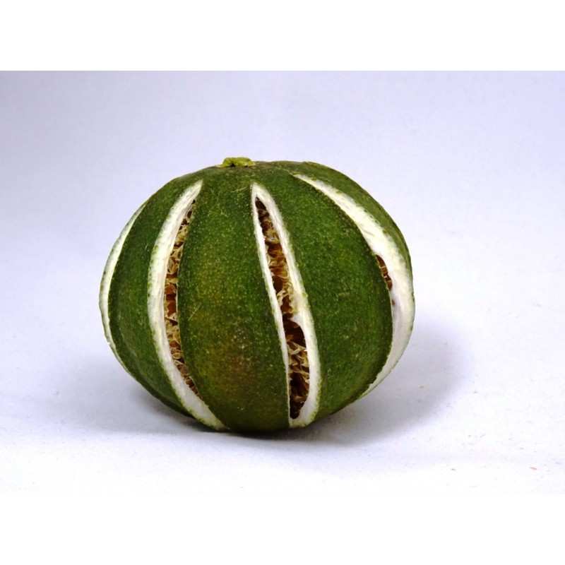 Limonka zielona cała suszona