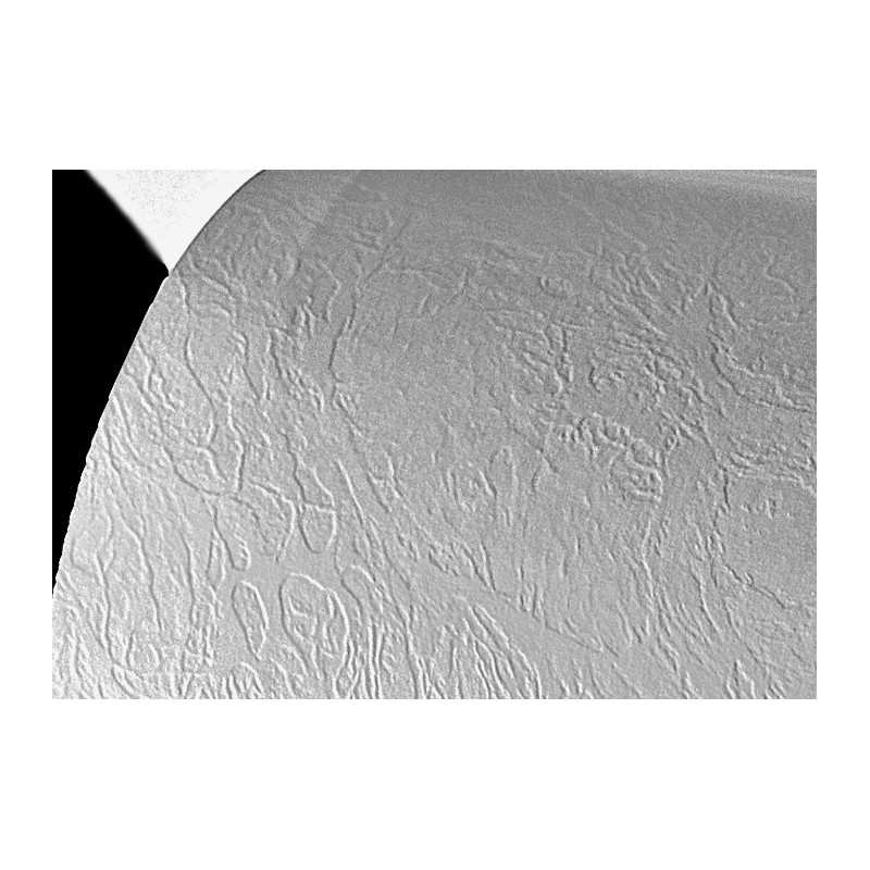 Papier wizytówkowy 246 g SKÓRA biały lub kremowy